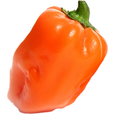 Imagen chile habanero