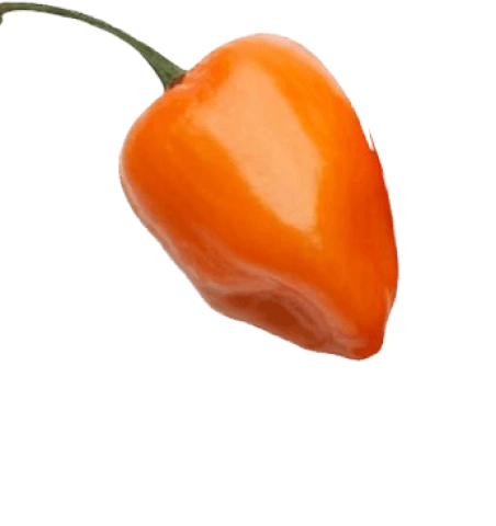 Imagen chile habanero