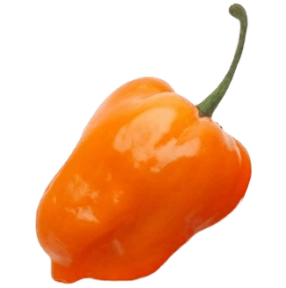 Imagen chile habanero